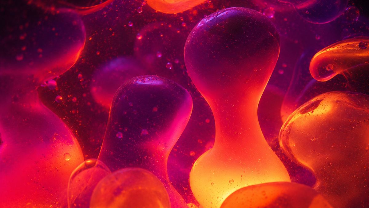 Inside a Lava Lamp